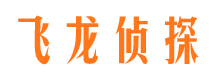 南汇调查公司